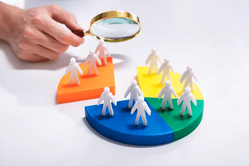Strategic Market Segmentation for Competitive Business Growth
