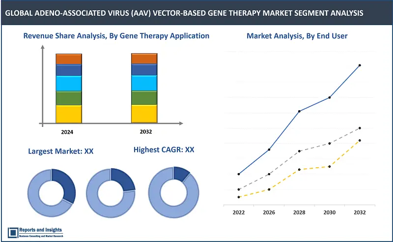 Adeno-Associated Virus (AAV) Vector-Based Gene Therapy Market Report, By Gene Therapy Application (Neurological Disorders, Ophthalmic Diseases, Muscular Disorders, Hematological Disorders); AAV Serotype (AAV1, AAV2, AAV5, AAV9); End-User (Hospitals, Research Institutes, Biopharmaceutical Companies); Therapeutic Area (Rare Diseases, Oncology, Cardiovascular Diseases, Genetic Disorders); and Regions 2024-2032