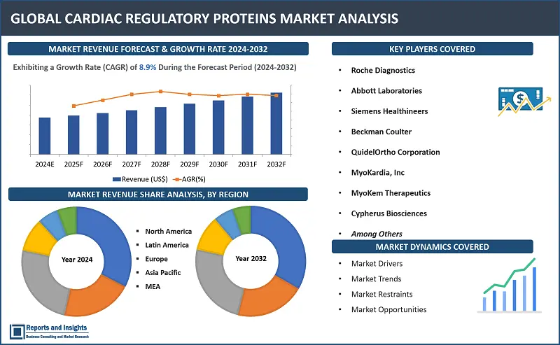 Cardiac Regulatory Proteins Market Report, By Protein Type (Troponin, Tropomyosin, Myosin, Titin), By Application (Diagnostics, Therapeutics, Research), By End User (Hospitals and clinics, Diagnostic laboratories, Research institutions) and Regions 2024-2032