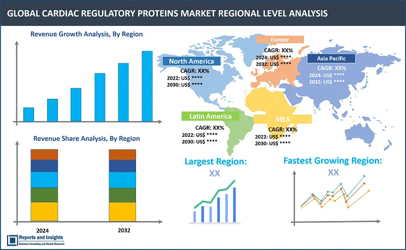 Cardiac Regulatory Proteins Market Report, By Protein Type (Troponin, Tropomyosin, Myosin, Titin), By Application (Diagnostics, Therapeutics, Research), By End User (Hospitals and clinics, Diagnostic laboratories, Research institutions) and Regions 2024-2032